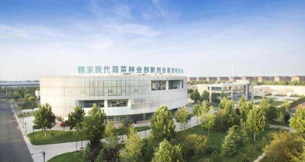 國家現代蔬菜種業創新創業基地研發中心