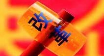 關于2010年第一批城市園林綠化企業一級資質審查結果的公告