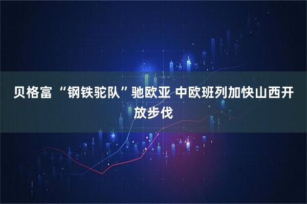 贝格富 “钢铁驼队”驰欧亚 中欧班列加快山西开放步伐