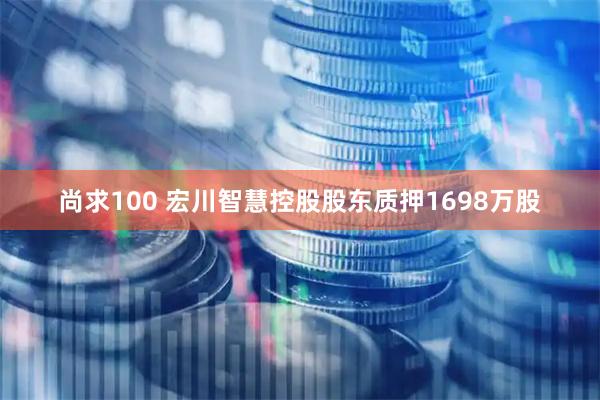 尚求100 宏川智慧控股股东质押1698万股