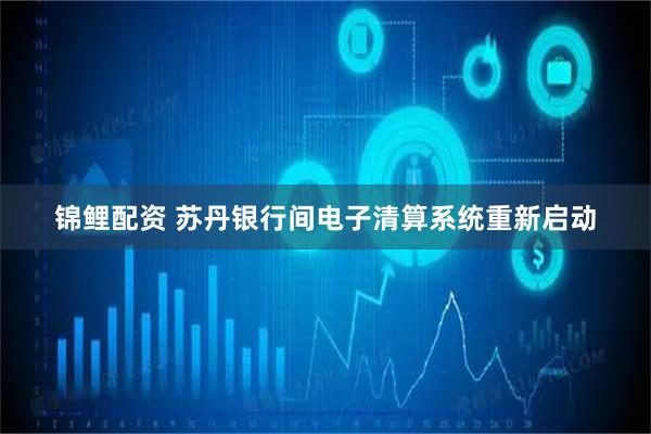 锦鲤配资 苏丹银行间电子清算系统重新启动