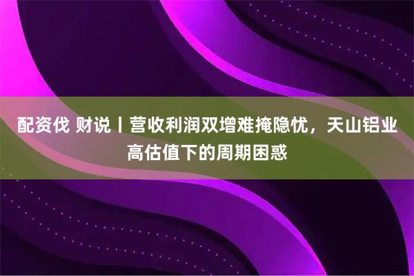 配资伐 财说丨营收利润双增难掩隐忧，天山铝业高估值下的周期困惑